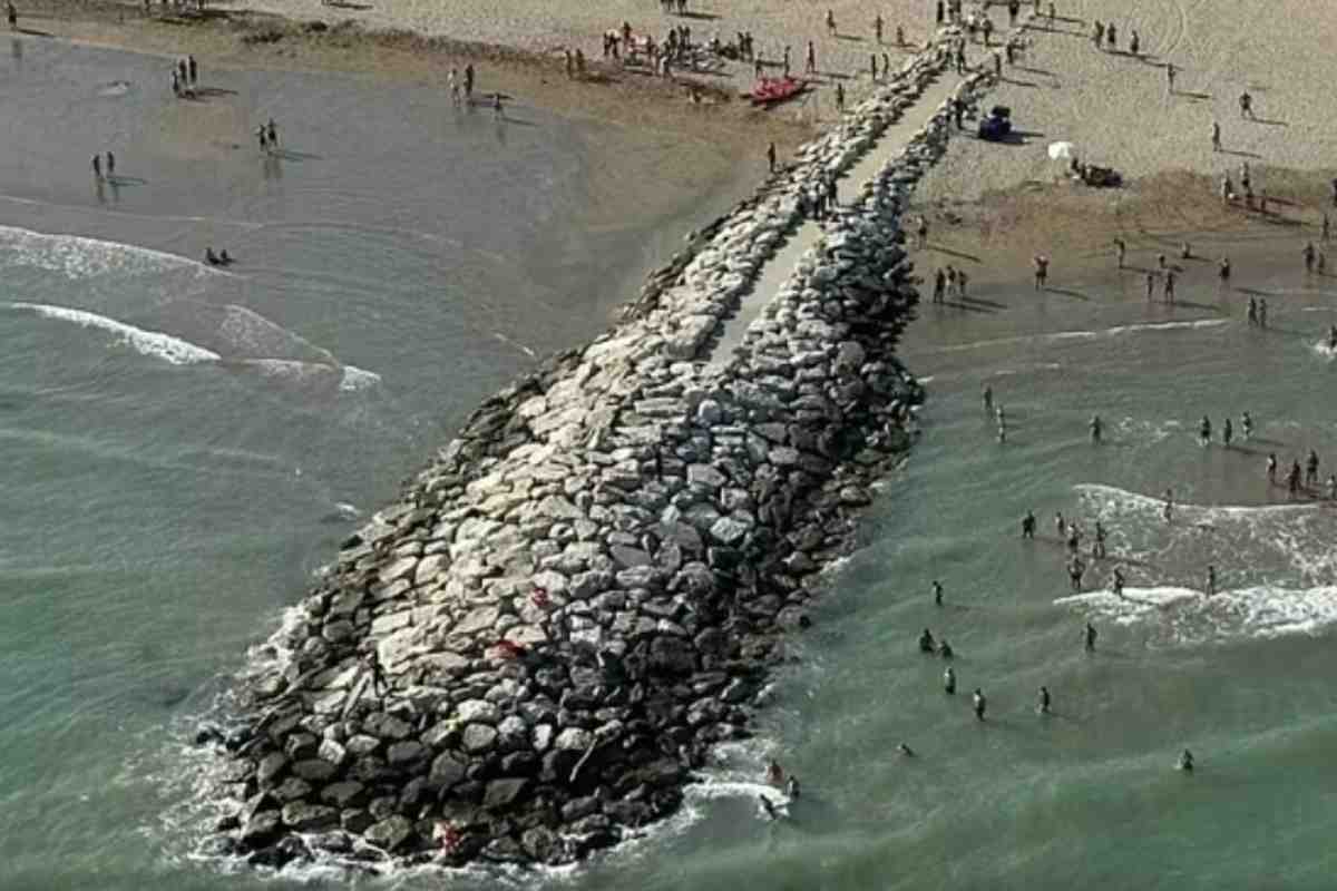 mare