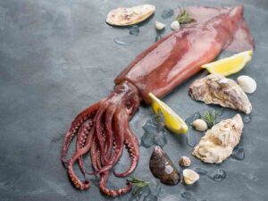calamaro insieme a conchiglie