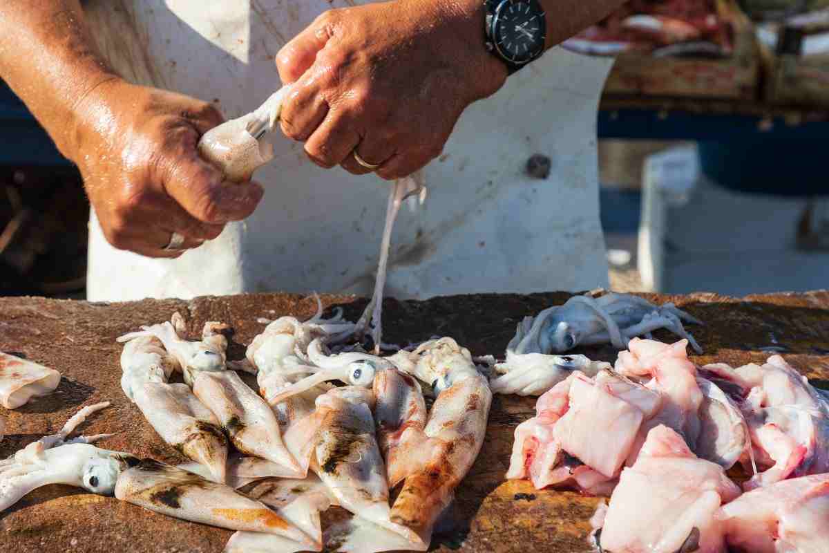 mani di uomo che puliscono i calamari