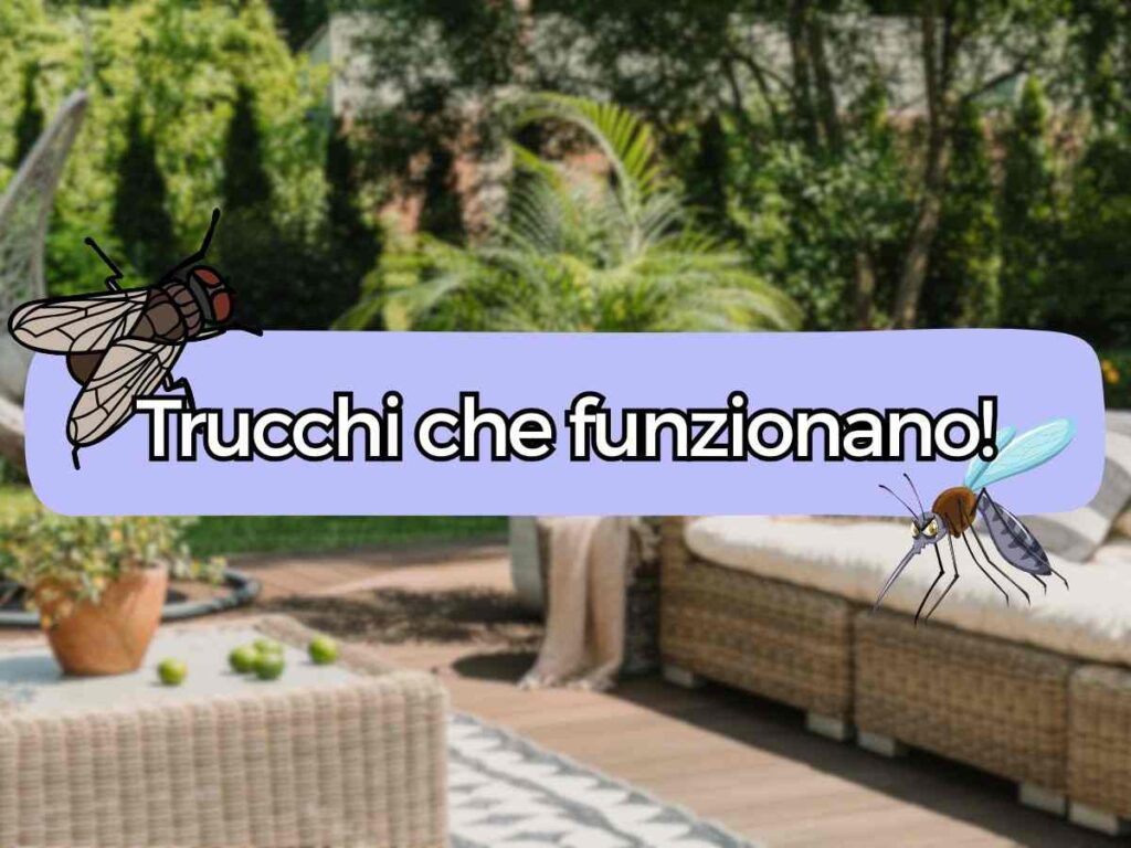 un giardino di casa con tavoli e divani