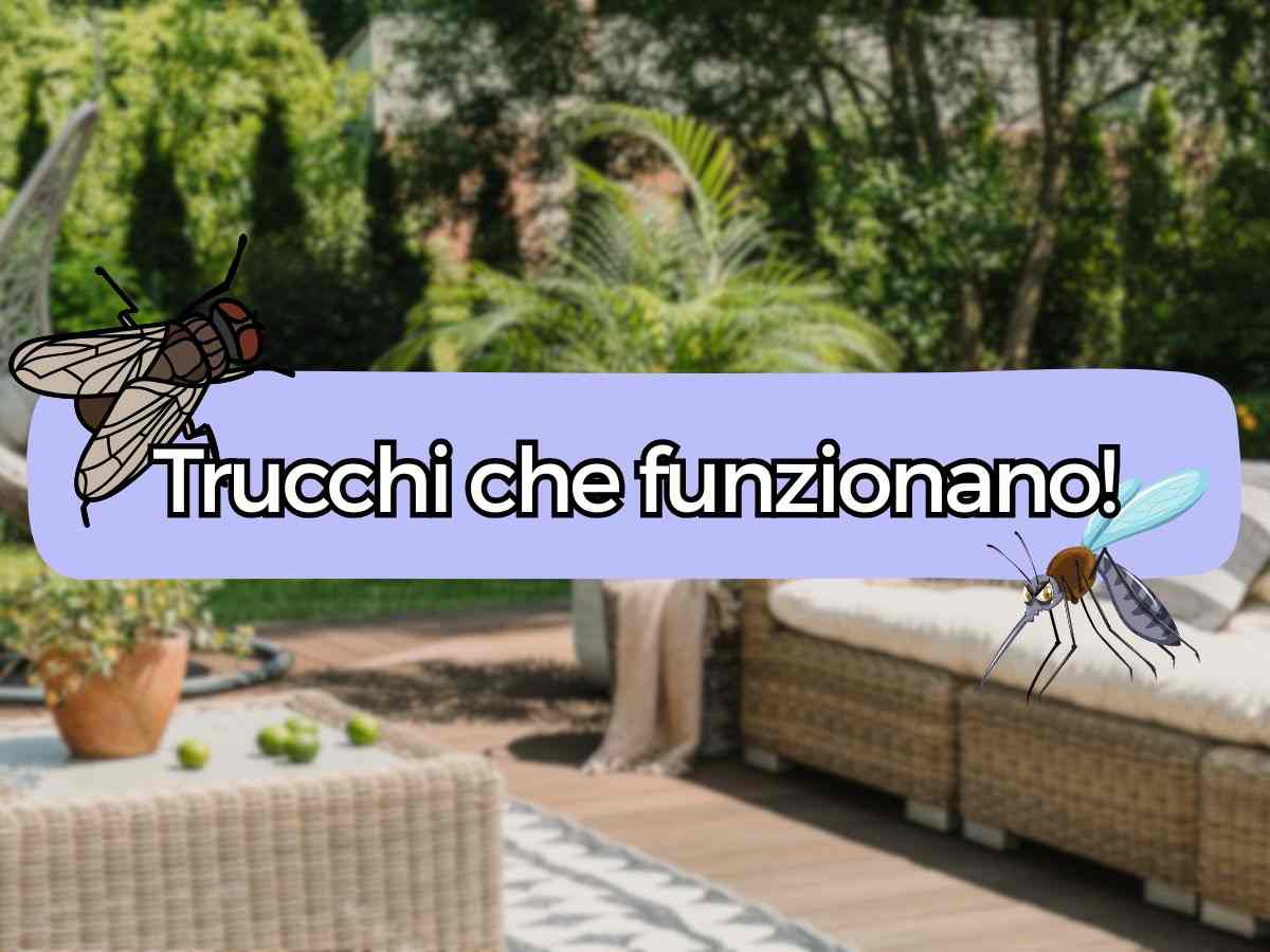 un giardino di casa con tavoli e divani