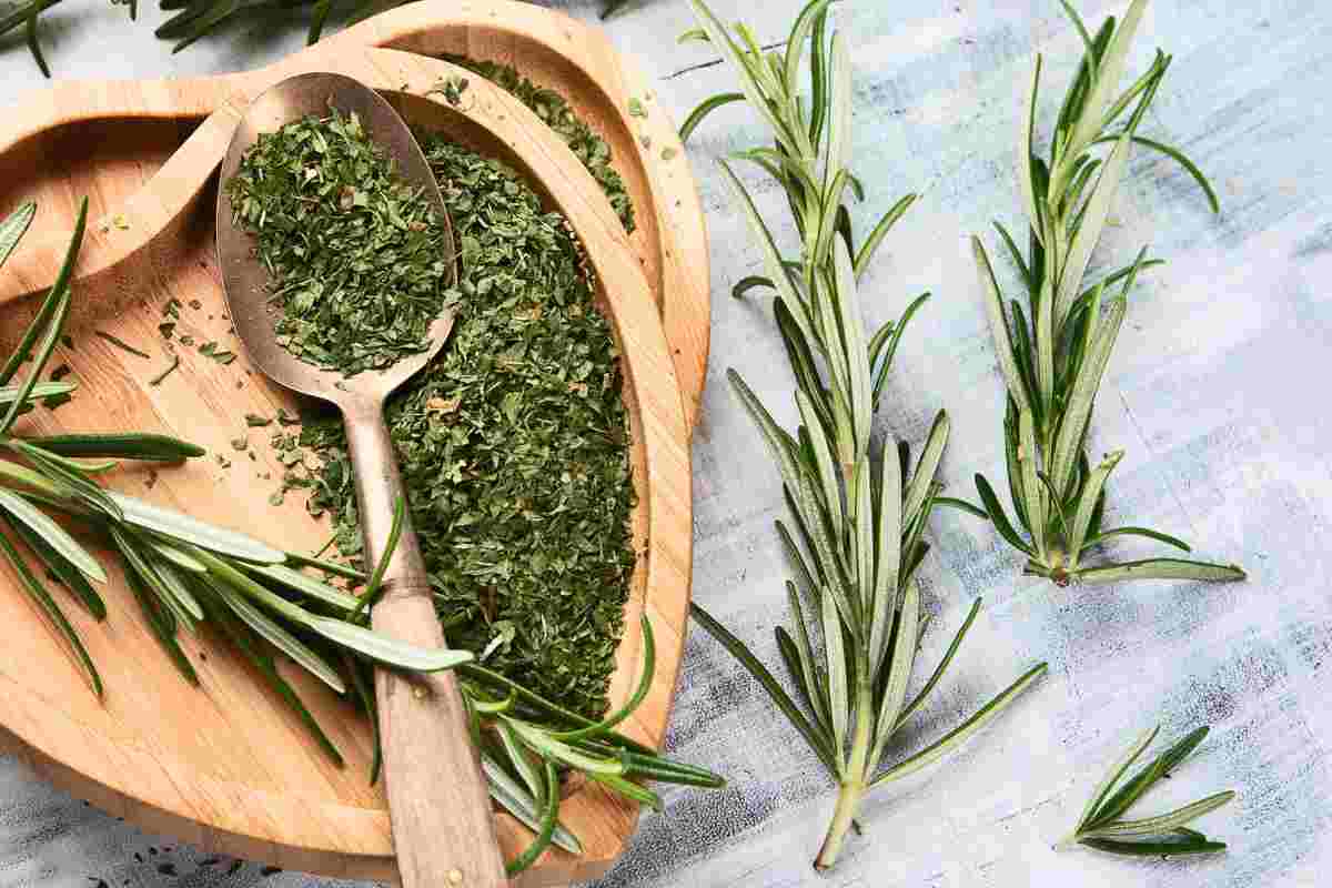 rosmarino fresco ed essiccato