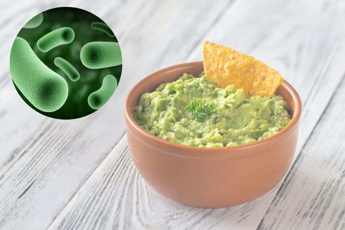 guacamole e batterio 