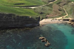 mare
