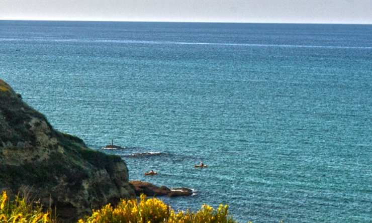 mare